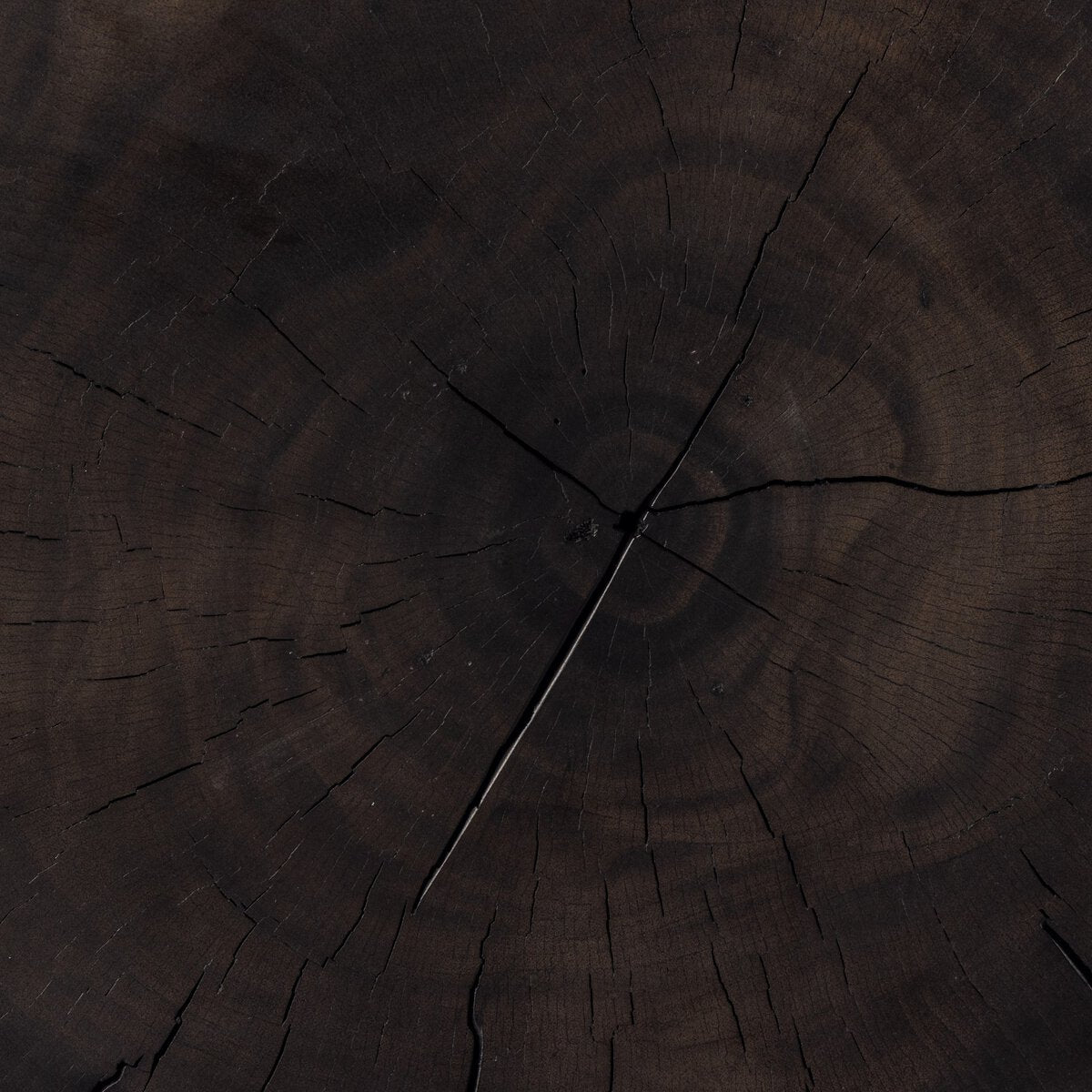 Stanislaus End Table