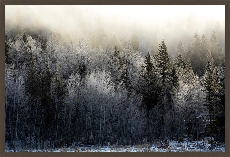 Rising Mist