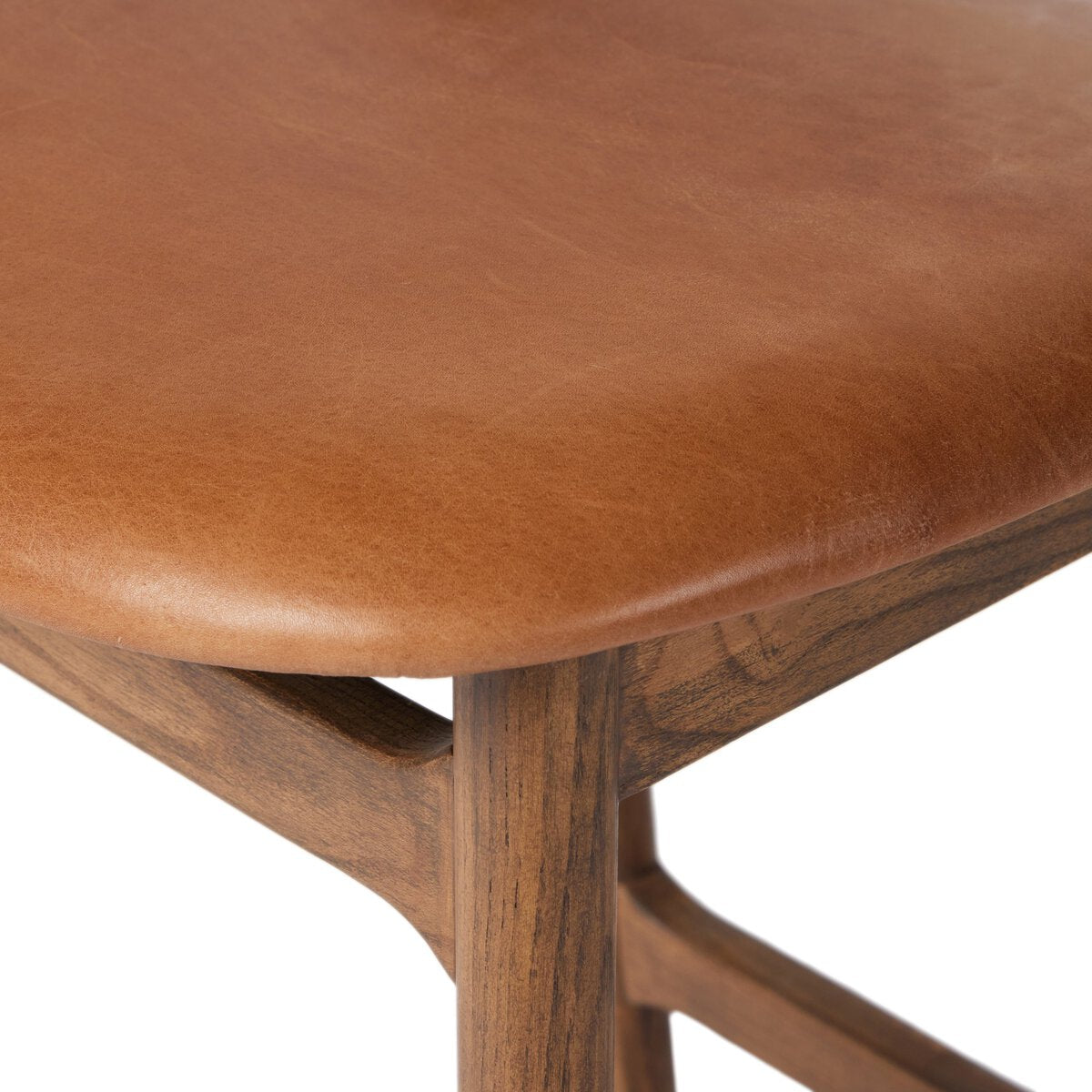 Dudleya Bar + Counter Stool