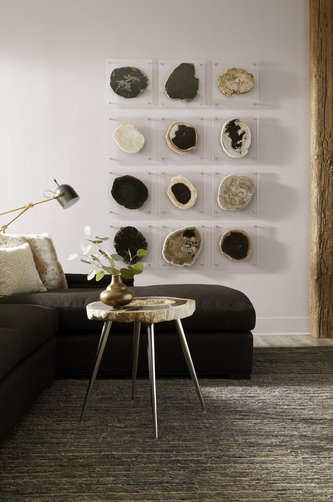 Floating Petrified Slice Wall Art