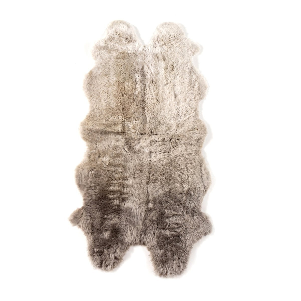 Osprey Ombre Rug
