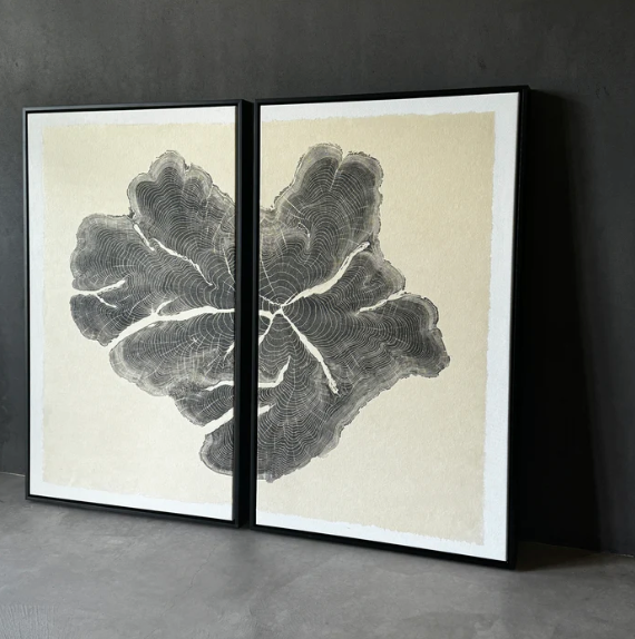 Porites Diptych