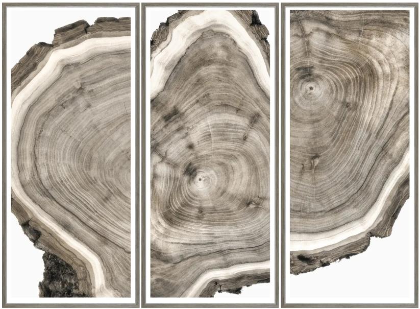 Live Edge Triptych
