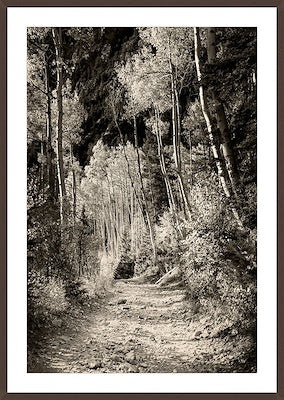 The Trail Less Traveled