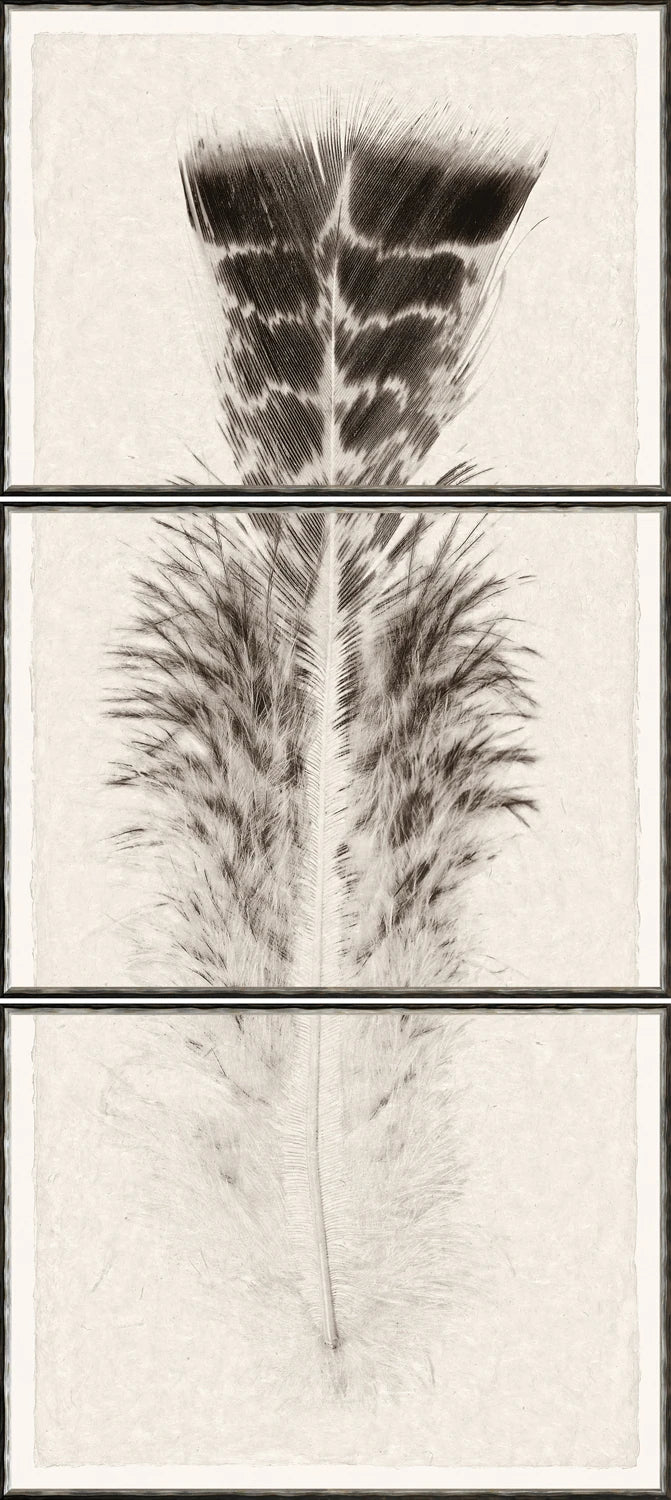 Taupe Plume I – Triptych