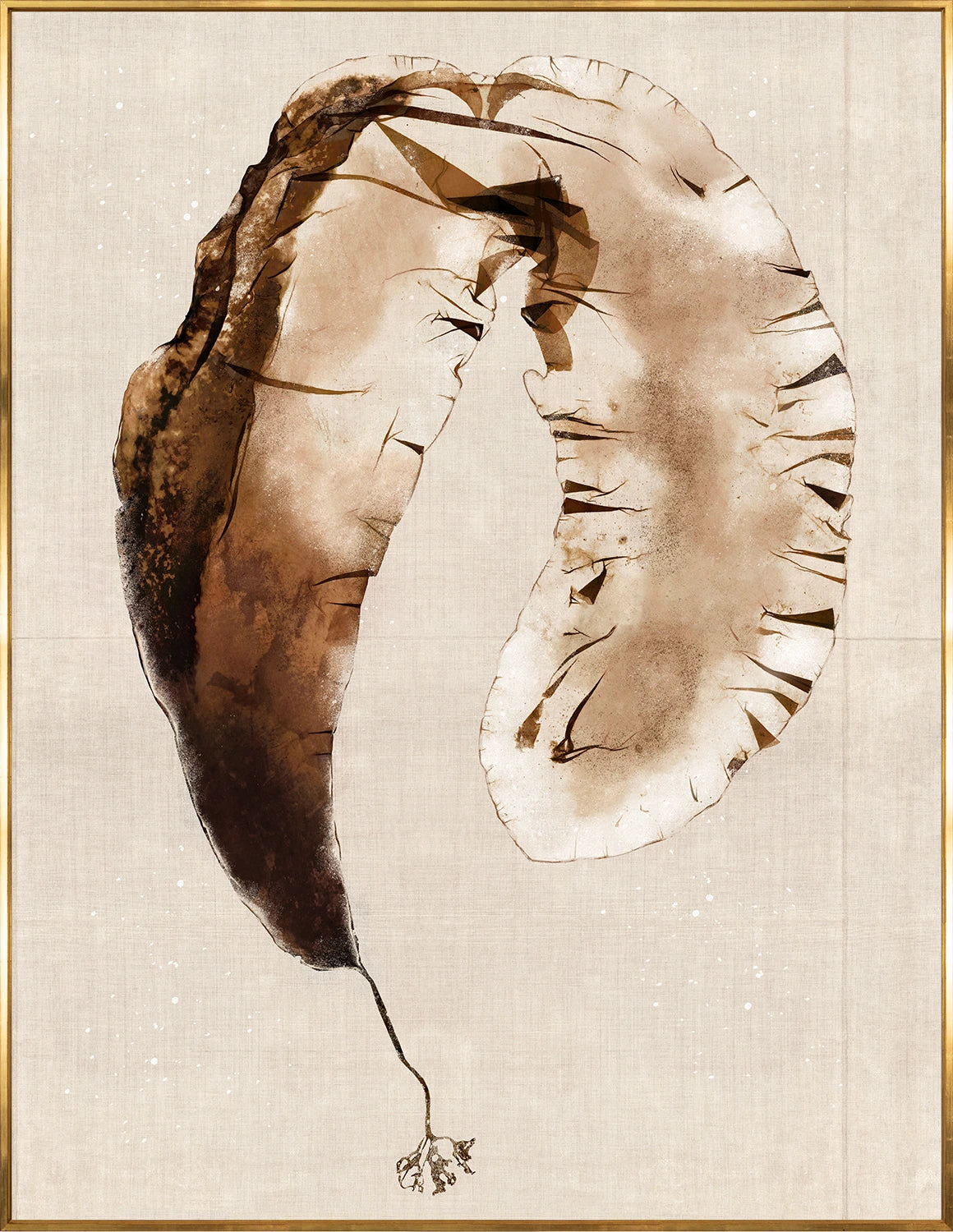 Umber Pressings