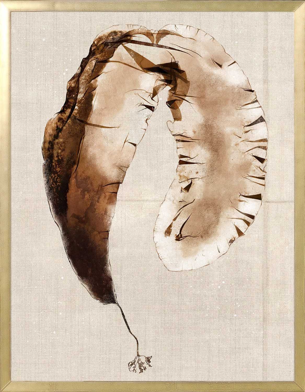 Umber Pressings