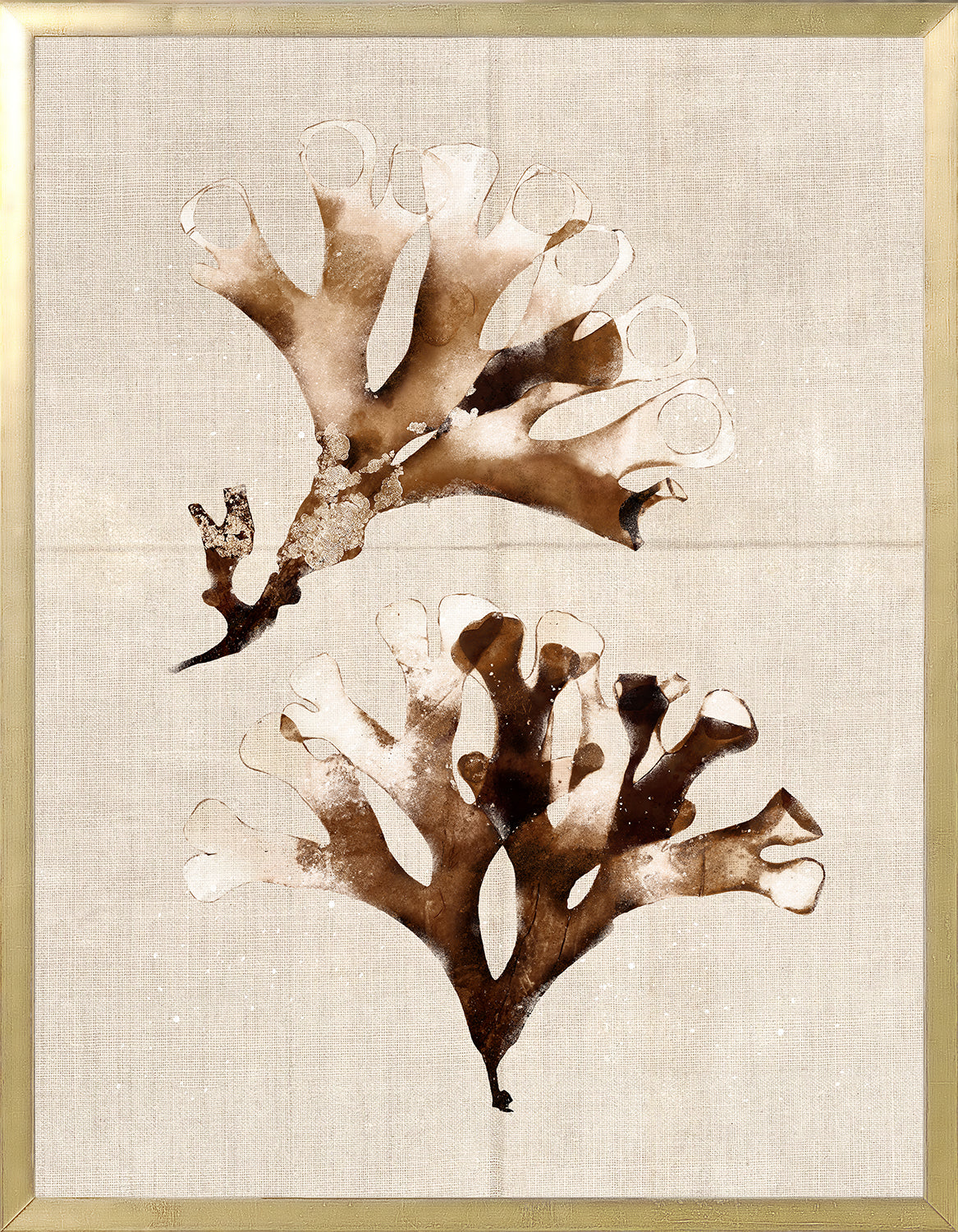 Umber Pressings