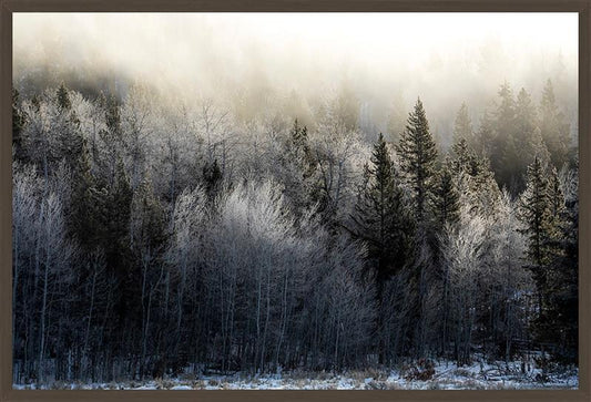 Rising Mist
