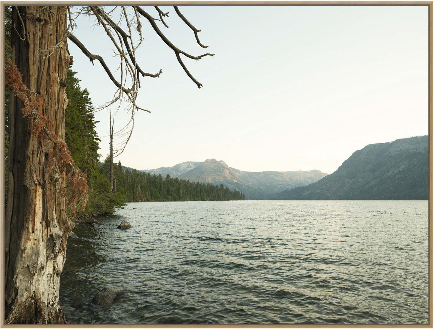 Fallen Leaf Lake Wilderness