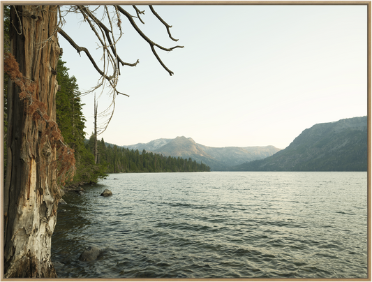 Fallen Leaf Lake Wilderness