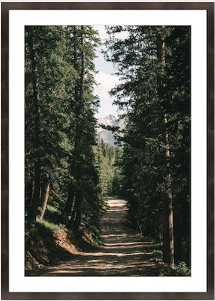 Mountain Walkways