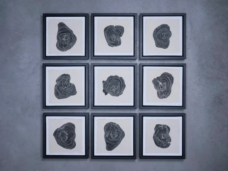 THE ILEA SERIES