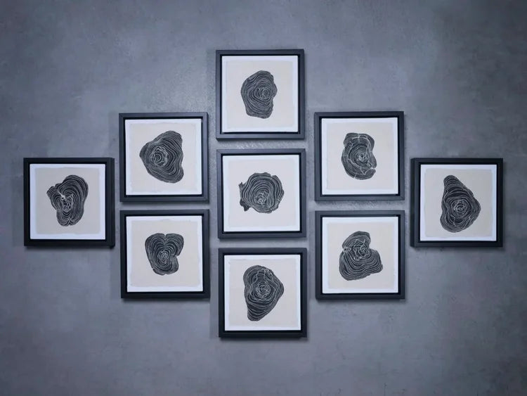 THE ILEA SERIES