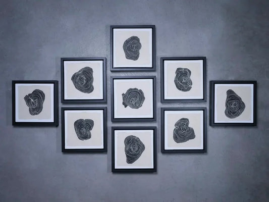 THE ILEA SERIES
