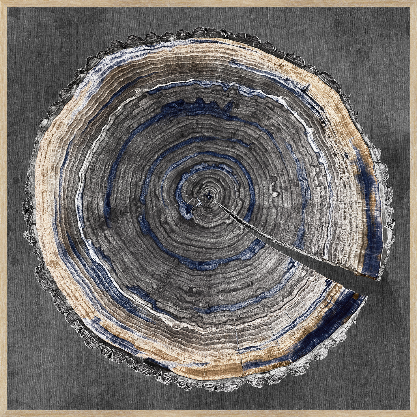 Slice Of Indigo I