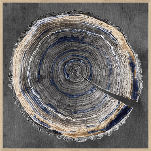 Slice Of Indigo I