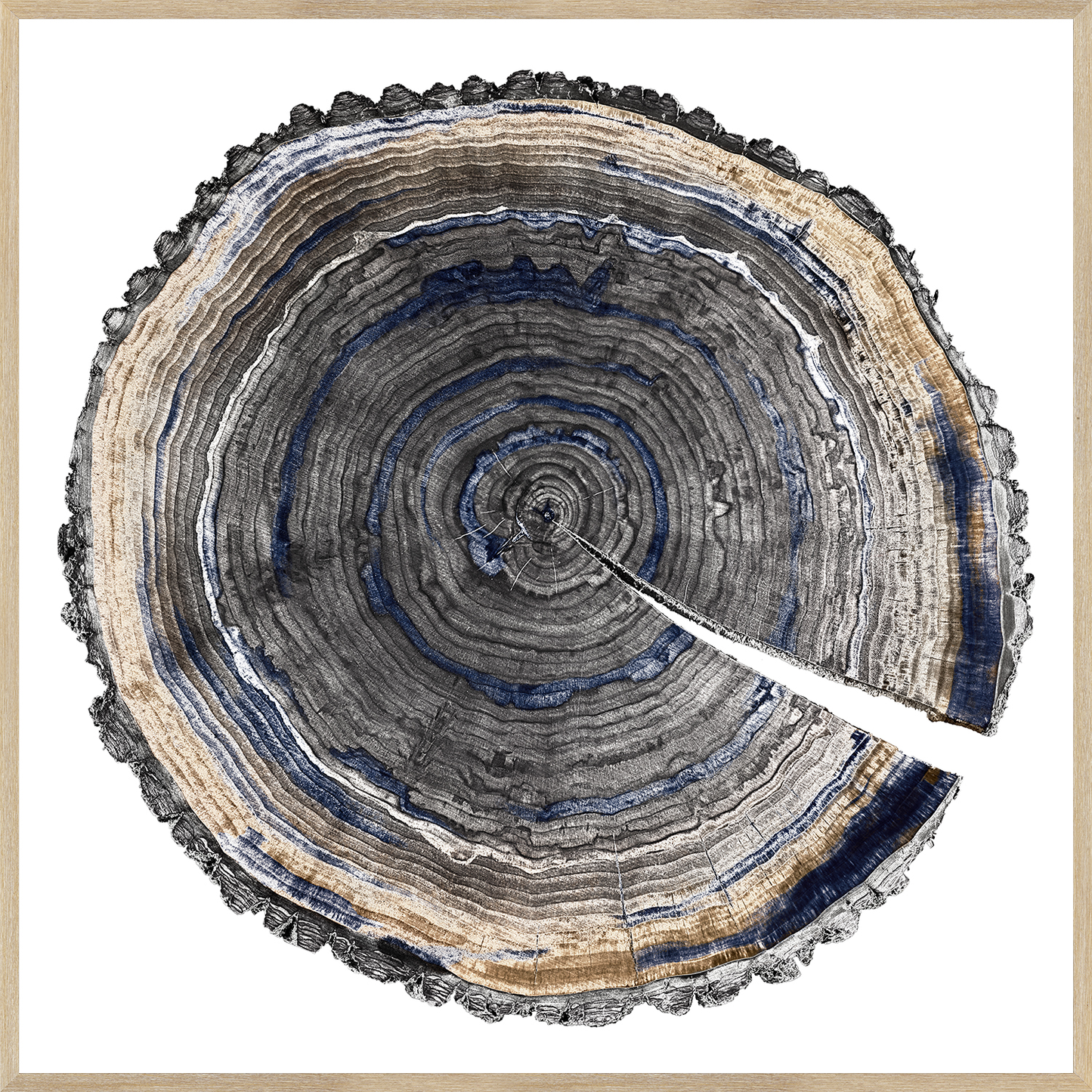 Slice Of Indigo I