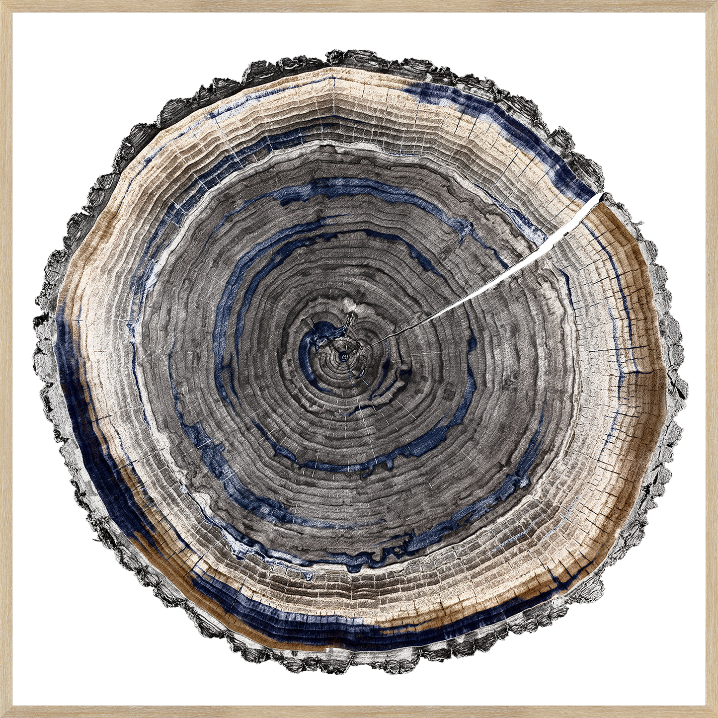 Slice Of Indigo II