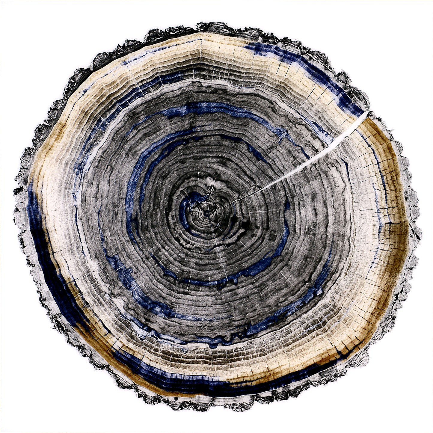 Slice Of Indigo II