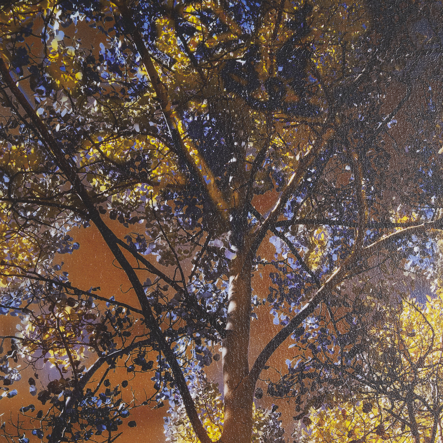 Leafy Shelter