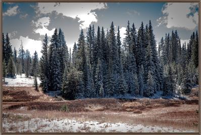 Winter Valley