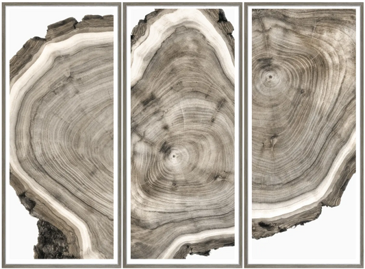 Live Edge Triptych